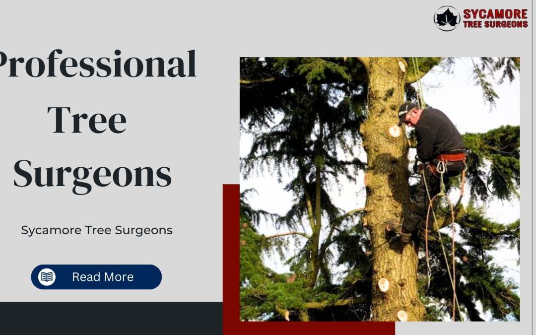 How do Tree Surgeons Help With the Safe Removal of Trees From Property?