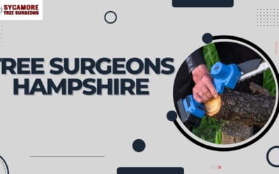 Trimming and Cutting: Learn About The Key Benefits