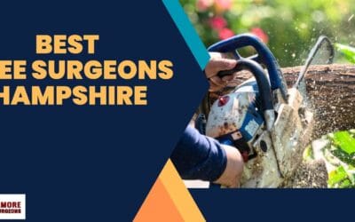 Reasons to Get Your Garden Checked Regularly by a Tree Surgeon