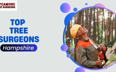 Does Tree Surgery Protect Your Trees from Storm Damage?