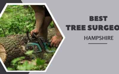 Vital Safety Measures a Tree Surgeon Follows While Cutting a Tree