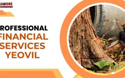 How Can Tree Roots Damage the Footing of a Building?