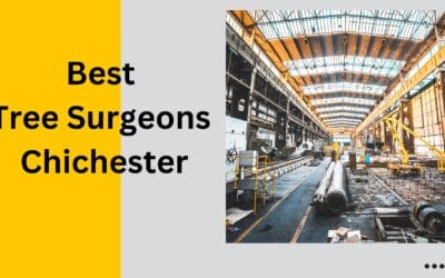 Essential Information You Need to Know About Crown Thinning