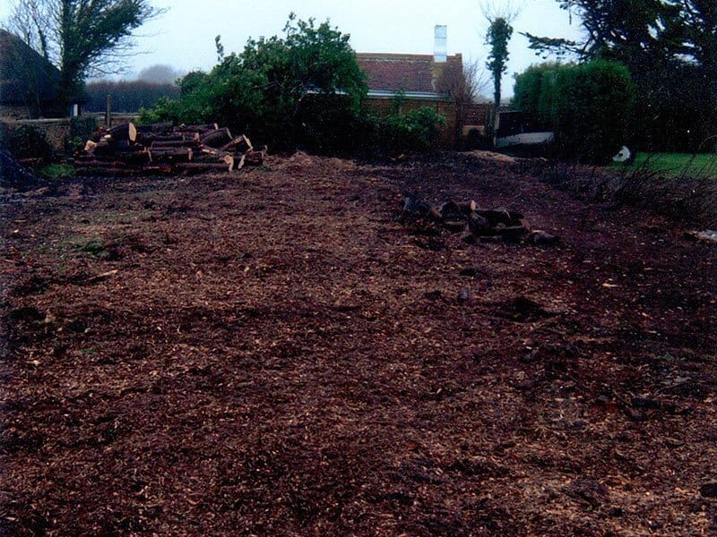 Stump grinding and removal